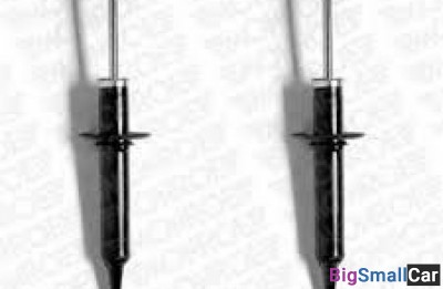 Амортизатор monroe E2070 передние